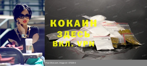 шишки Нея