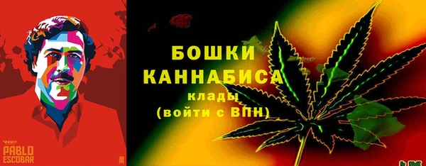 шишки Нея