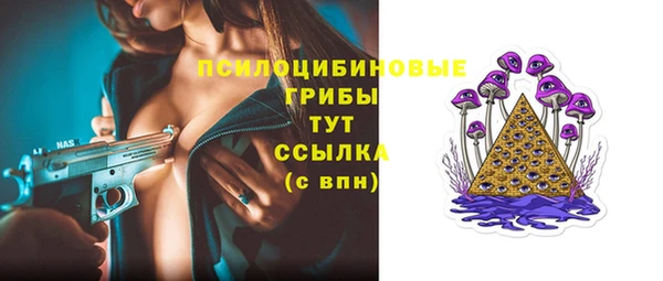 шишки Нея