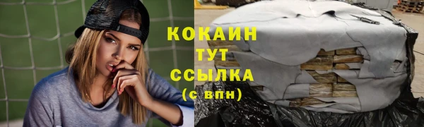 гашик Нефтекумск