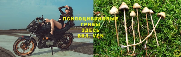 2c-b Нефтегорск