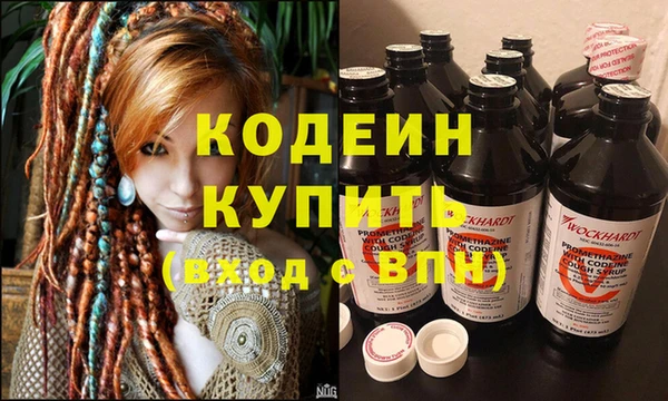 шишки Нея