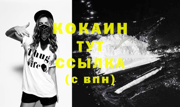 гашик Нефтекумск