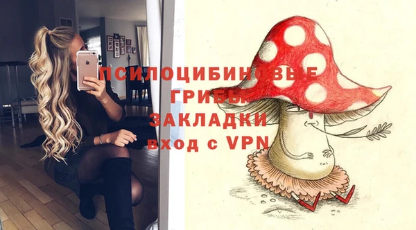 гашик Нефтекумск