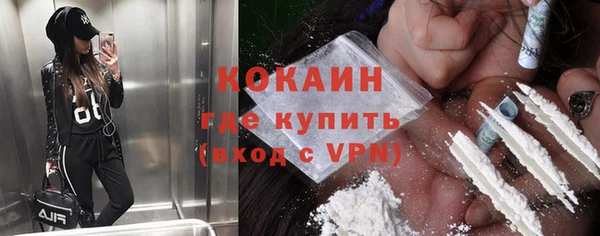шишки Нея
