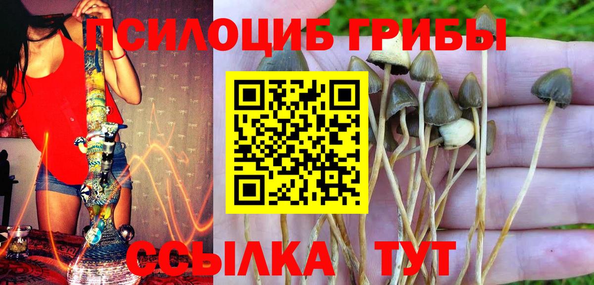 Псилоцибиновые грибы Psilocybine cubensis  Вход с VPN  Тюмень  Псилоцибиновые грибы Magic Shrooms 